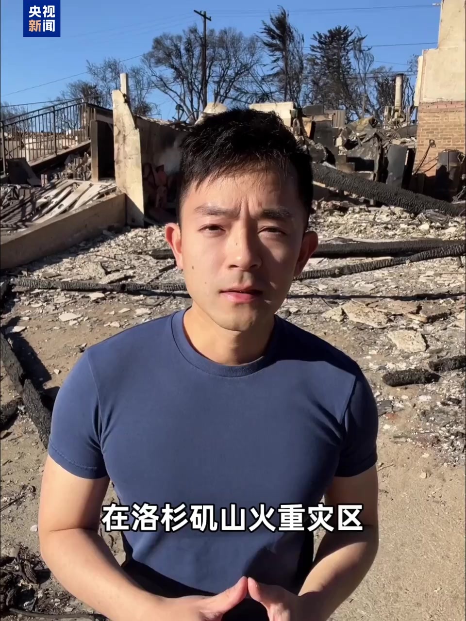 素之一