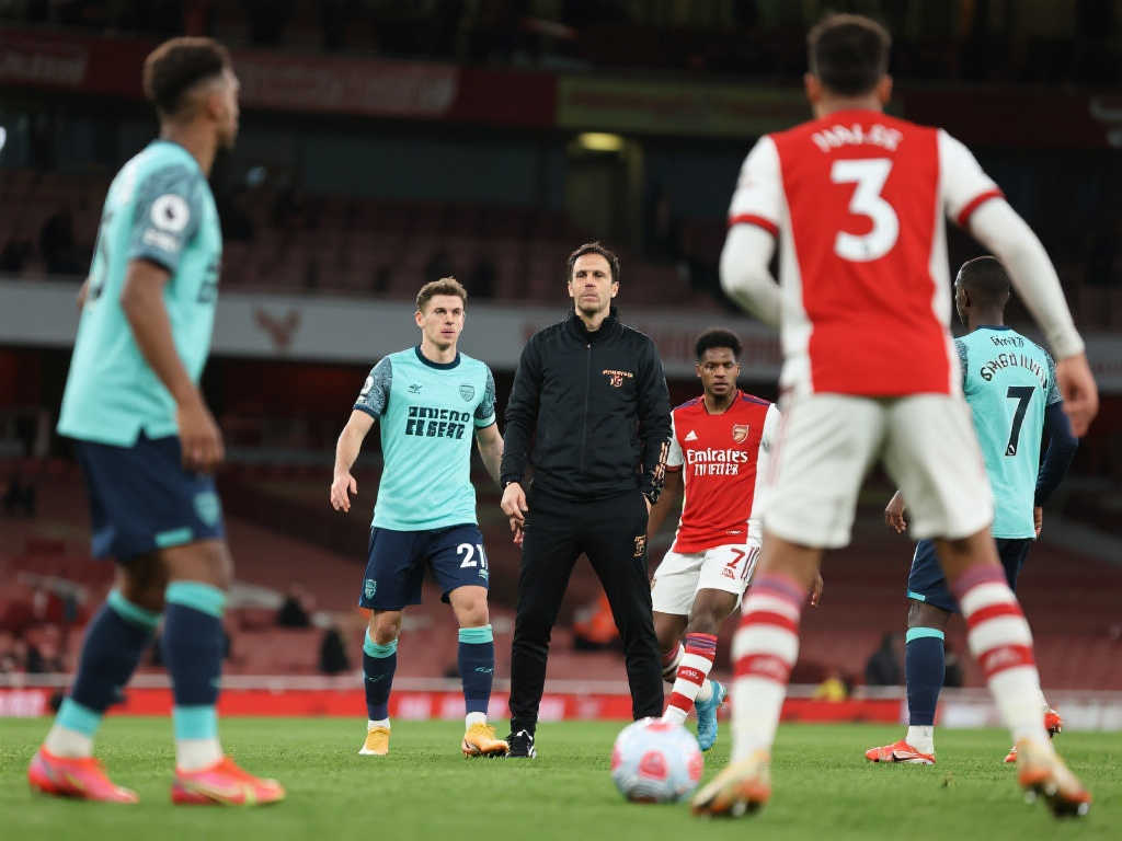 斑马军团似 斑马军团似