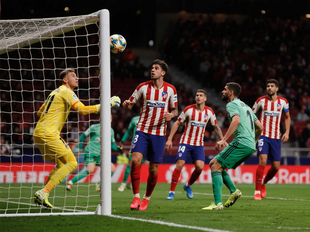 细致到位的 细致到位的