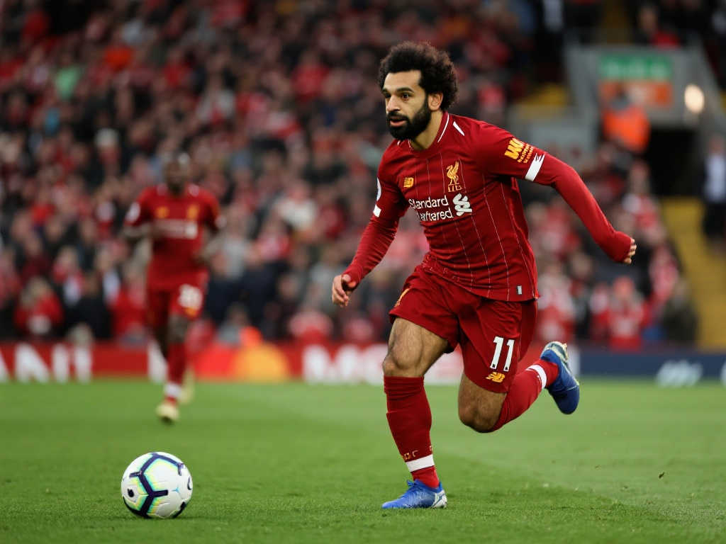 影响到国家 影响到国家