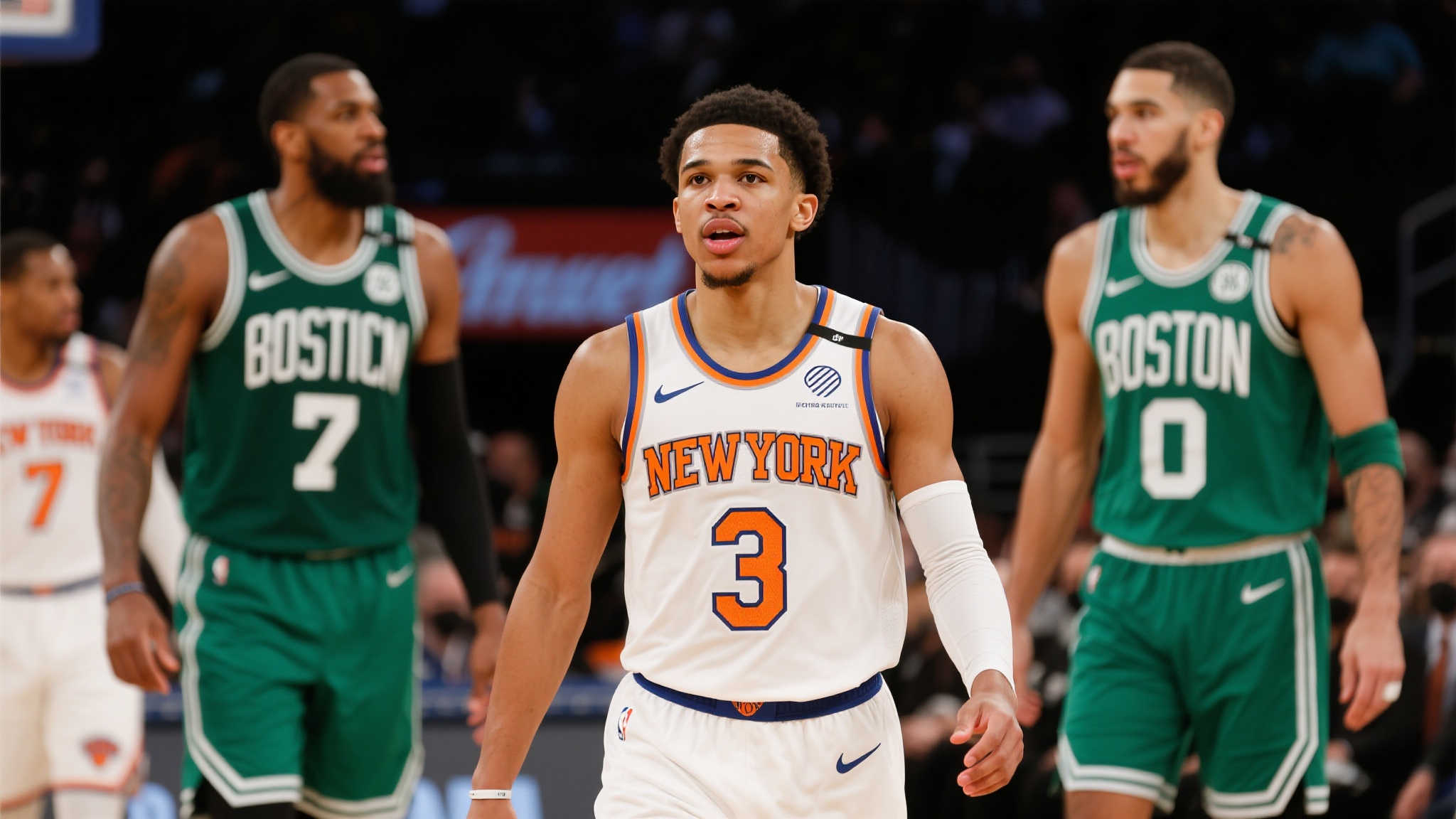 葡萄牙的 葡萄牙的